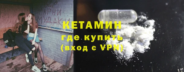 молекула духа Вяземский