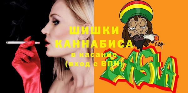 молекула духа Вяземский