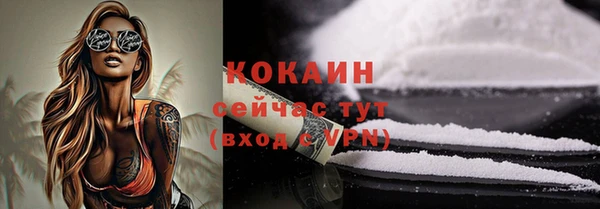твердый Вязьма