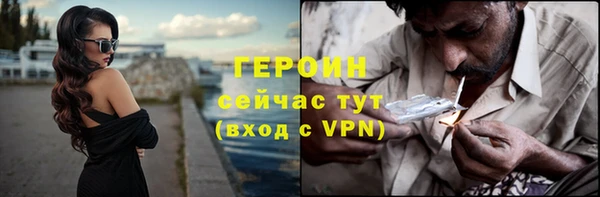 молекула духа Вяземский