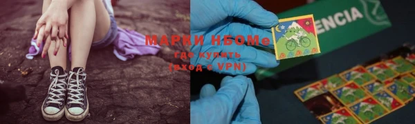 молекула духа Вяземский
