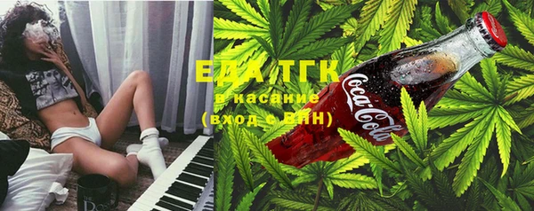 молекула духа Вяземский