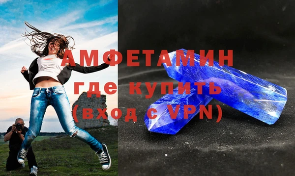 молекула духа Вяземский