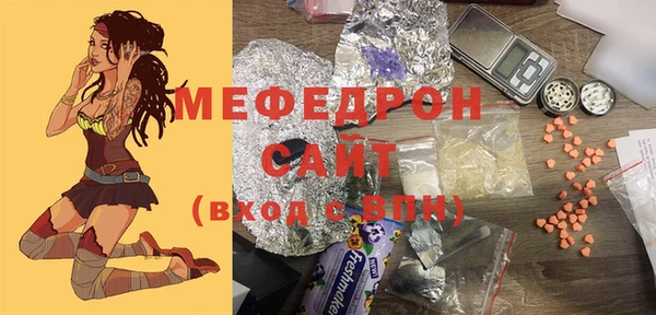 молекула духа Вяземский