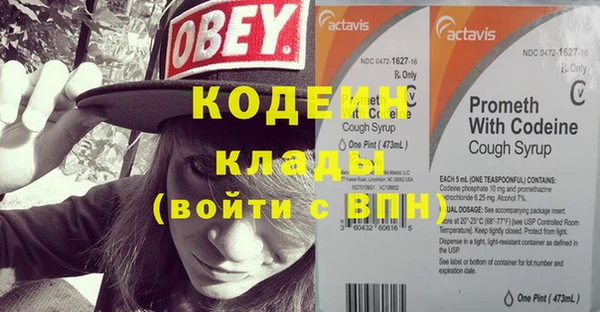 молекула духа Вяземский