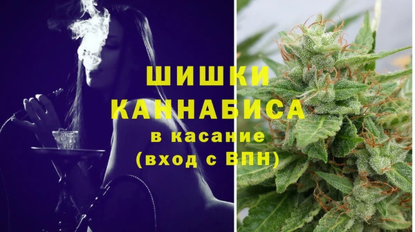 молекула духа Вяземский