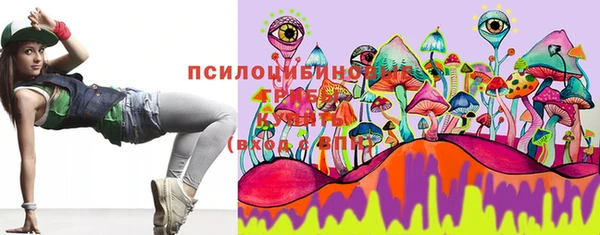 прущие грибы Заволжск