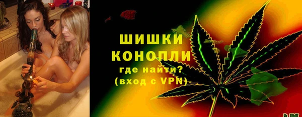 сатива Кинешма
